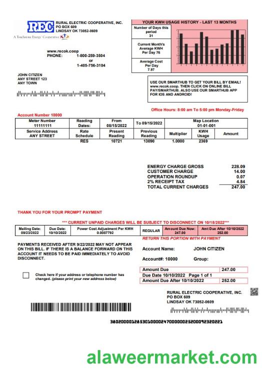 USA Rural Electric Cooperative utility bill template in Word and PDF format